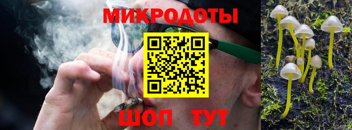 Галлюциногенные грибы Psilocybe  Вход с VPN  Сегежа 