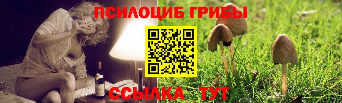 Галлюциногенные грибы ЛСД Сегежа